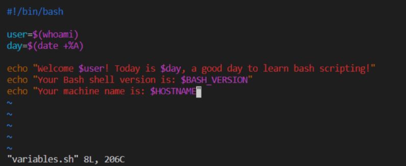 Bash Scripting Part 1 » Dezlearn » Learn IT Easy