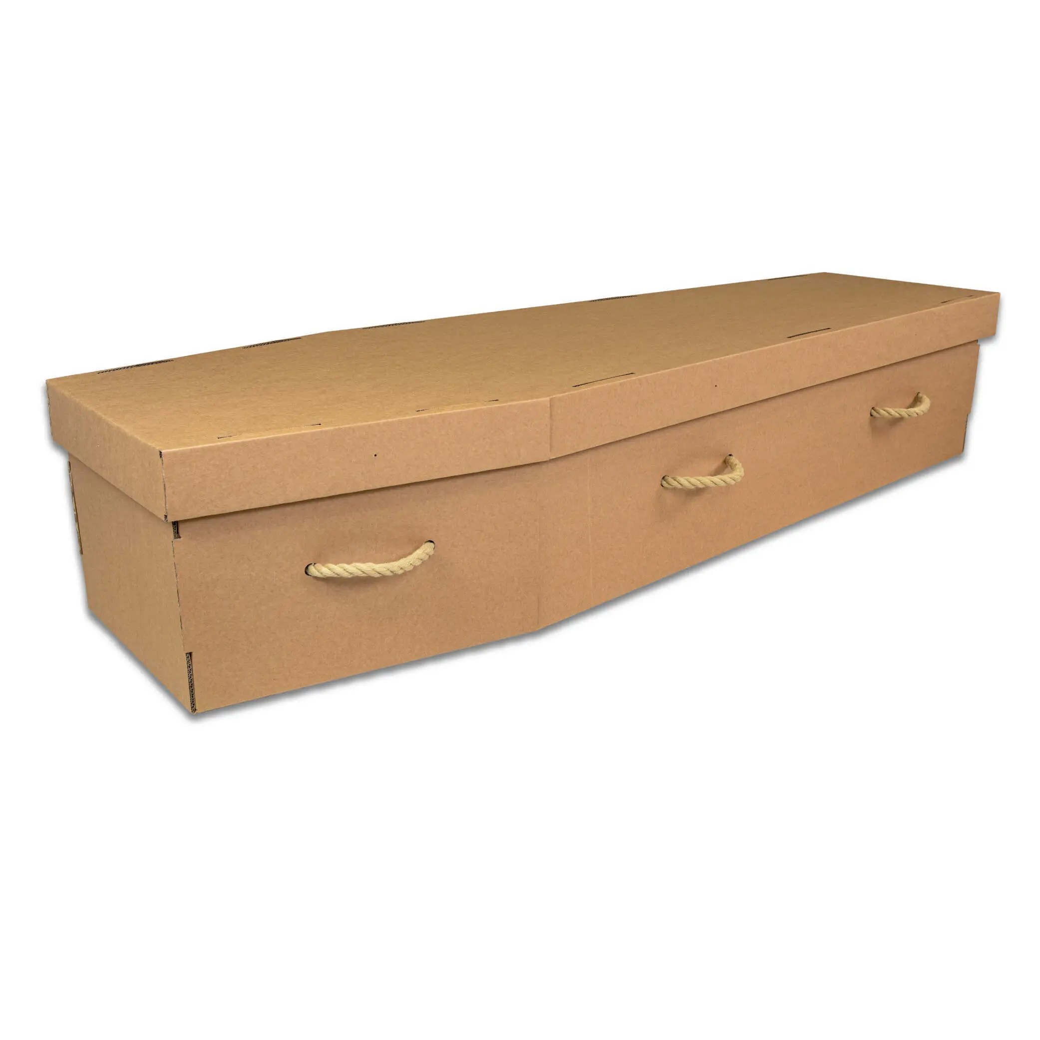 Cardboard DFS Caskets