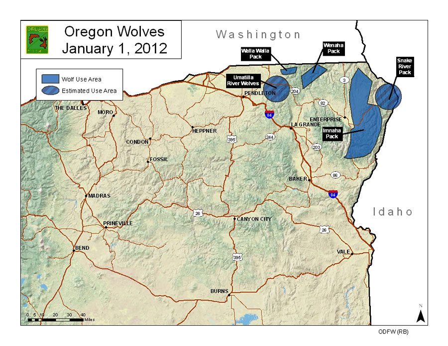 Blue Mountains Oregon Map Update On Blue Mountains Wolves