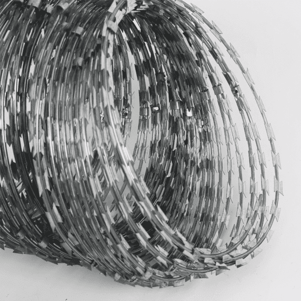 Razor Wire Concertina Wire Coil Supply Dongfu Wire Mesh