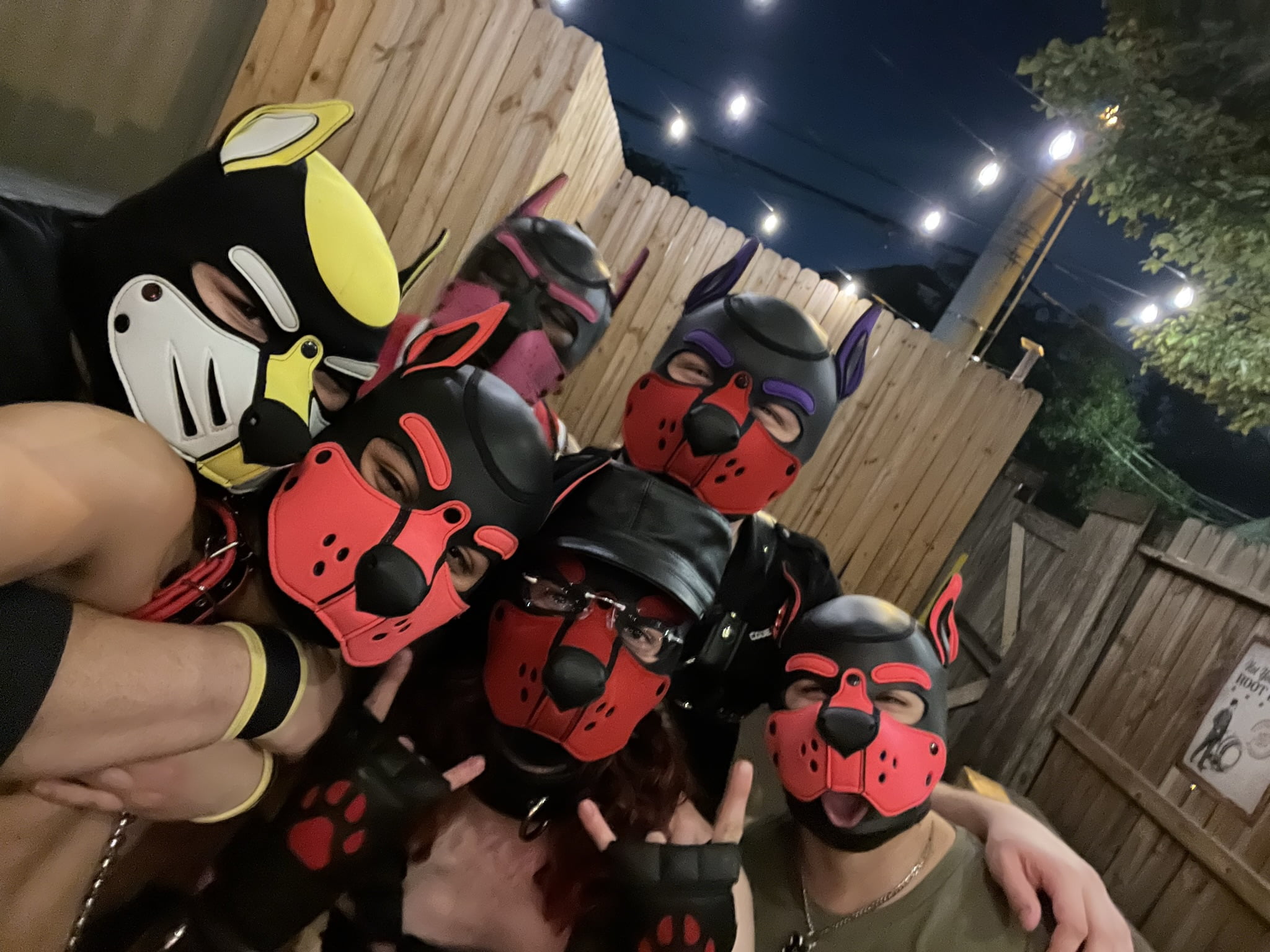 Pup & Pet Play 101 DFW PAHS