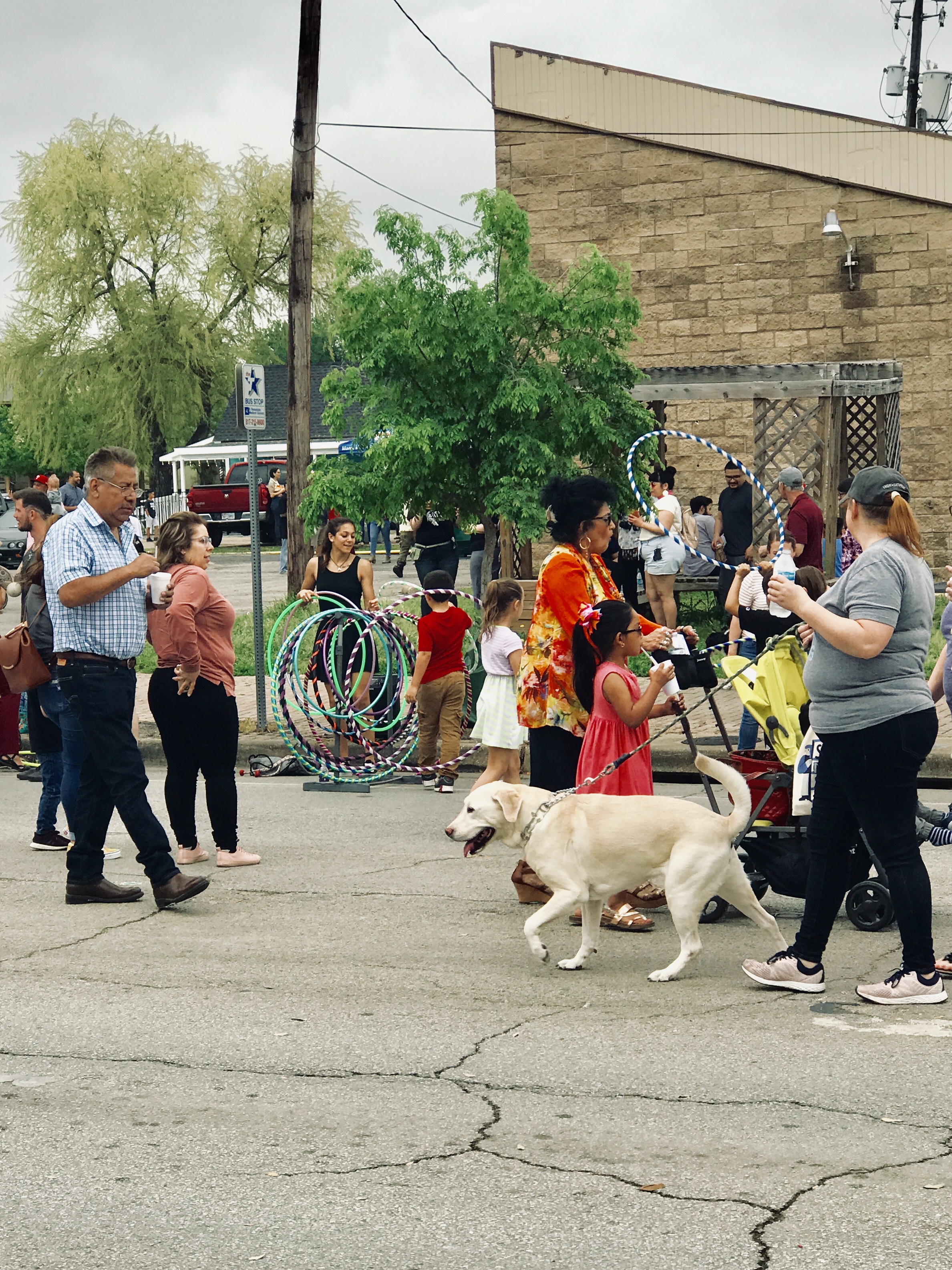 Open Streets for Dog Walkers in Fort Worth DFW Pet Sitting