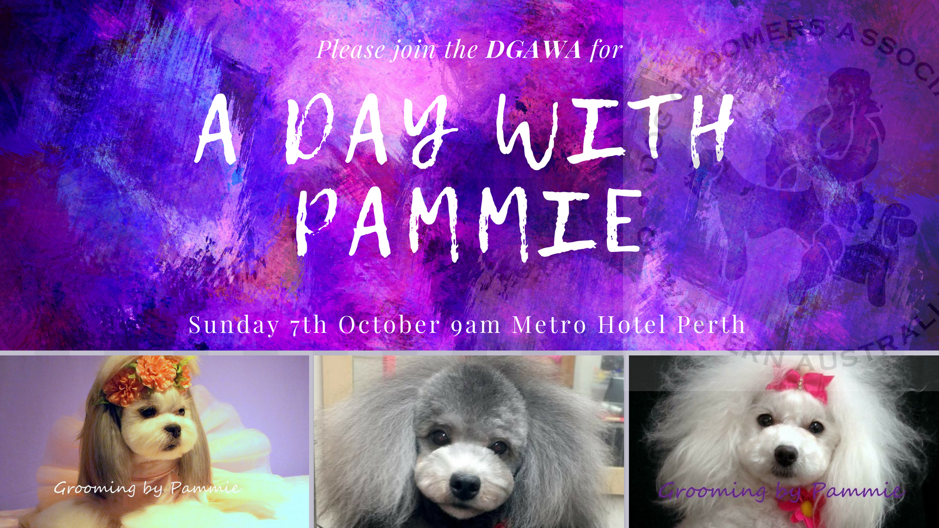 A Day with Pammie CarmichaelHogg. to the Dog Groomers