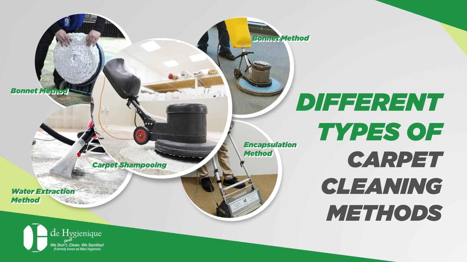 Everything you need to know about carpet cleaning De Hygienique
