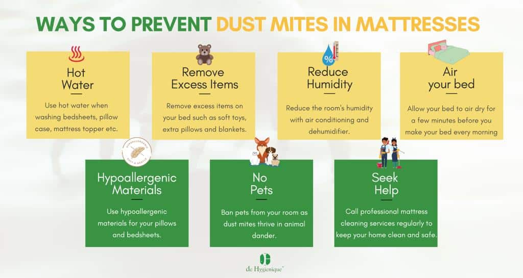 Ways To Prevent Dust Mites in Your Mattresses (Singapore Guide 2023