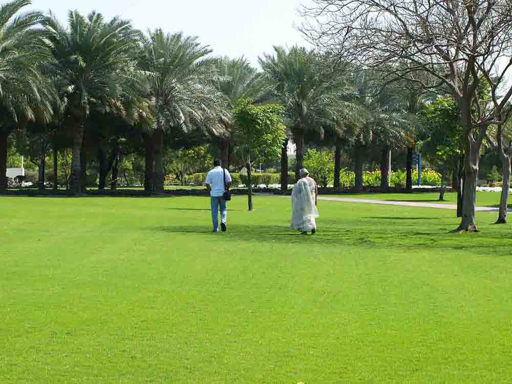 Creek Park in Dubai The Ultimate Travel Guide