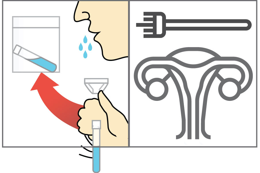 QuantiVirus™ HPV E6/E7 mRNA Test DiaCarta, Inc.