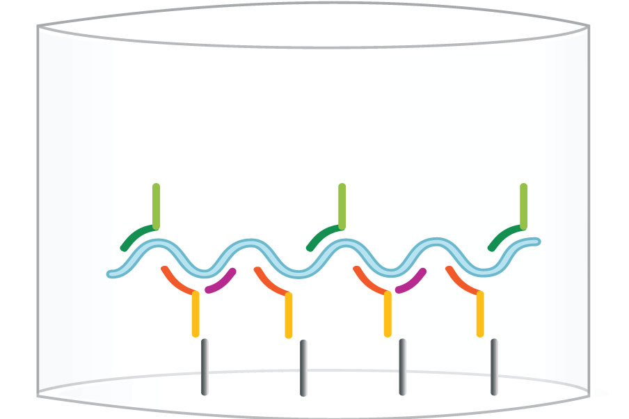 QuantiVirus™ HPV E6/E7 mRNA Test DiaCarta, Inc.