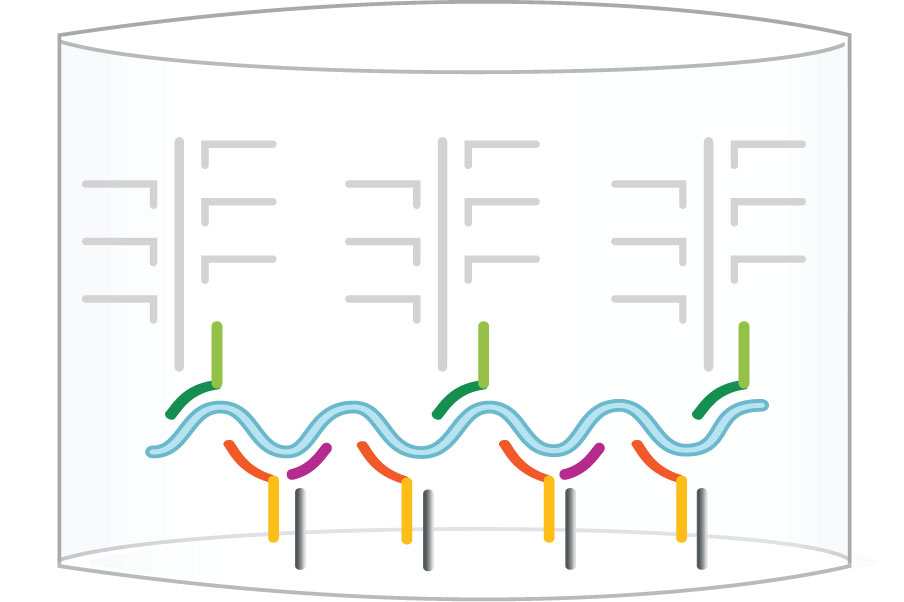 QuantiVirus™ HPV E6/E7 mRNA Test DiaCarta, Inc.