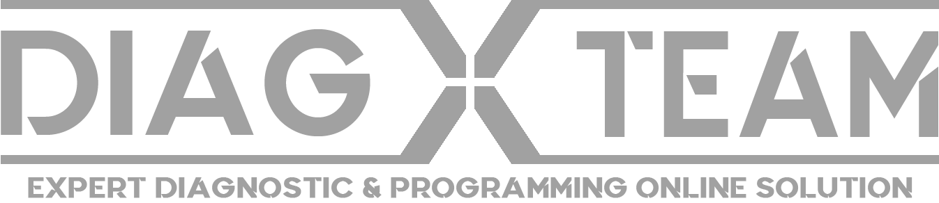 DiagXTeam Diagnóstico de automóveis remoto