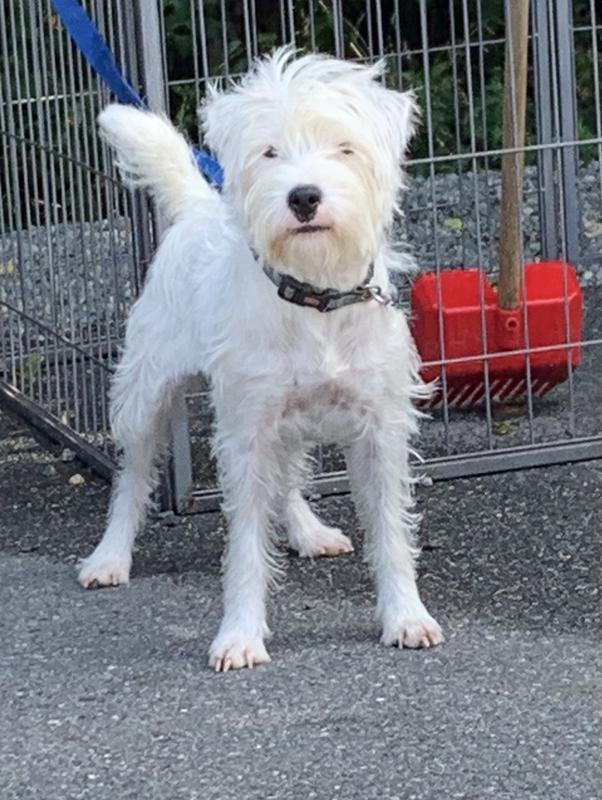 FALL LITTERS DUE! Taking few more