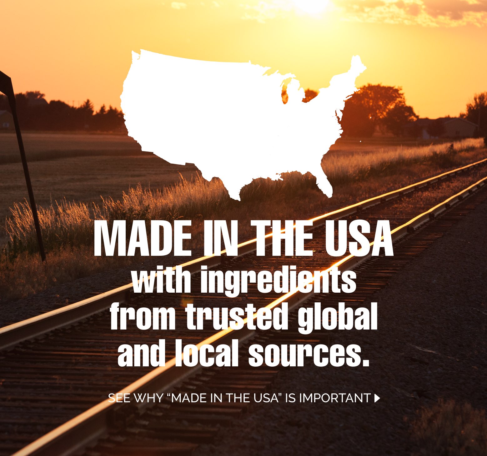 Diamond Pet Food Kirkland at Kelly Smiley blog