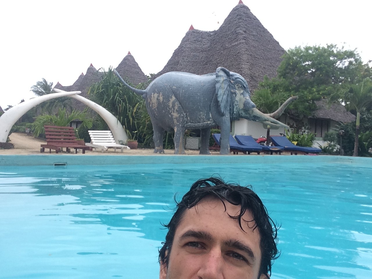 Kenya Diani Beach Information Holiday Houses Real Estate