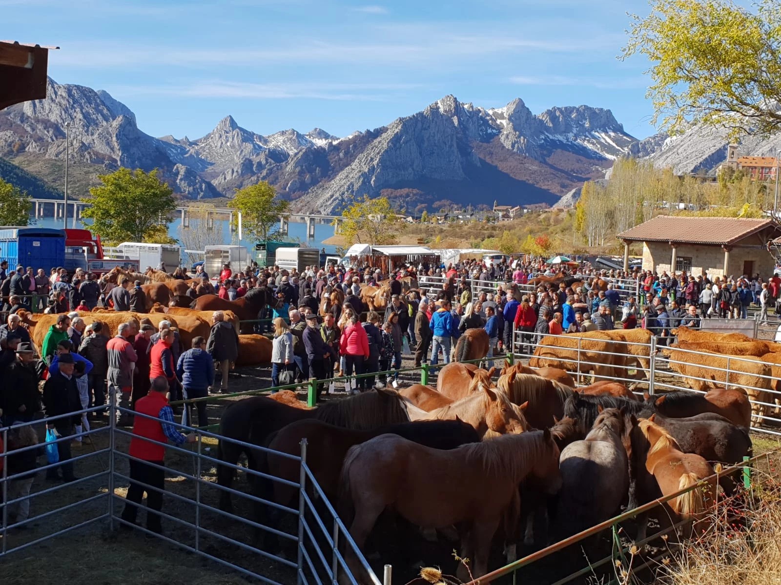 Riaño reunirá el sábado a miles de personas en la feria ganadera de