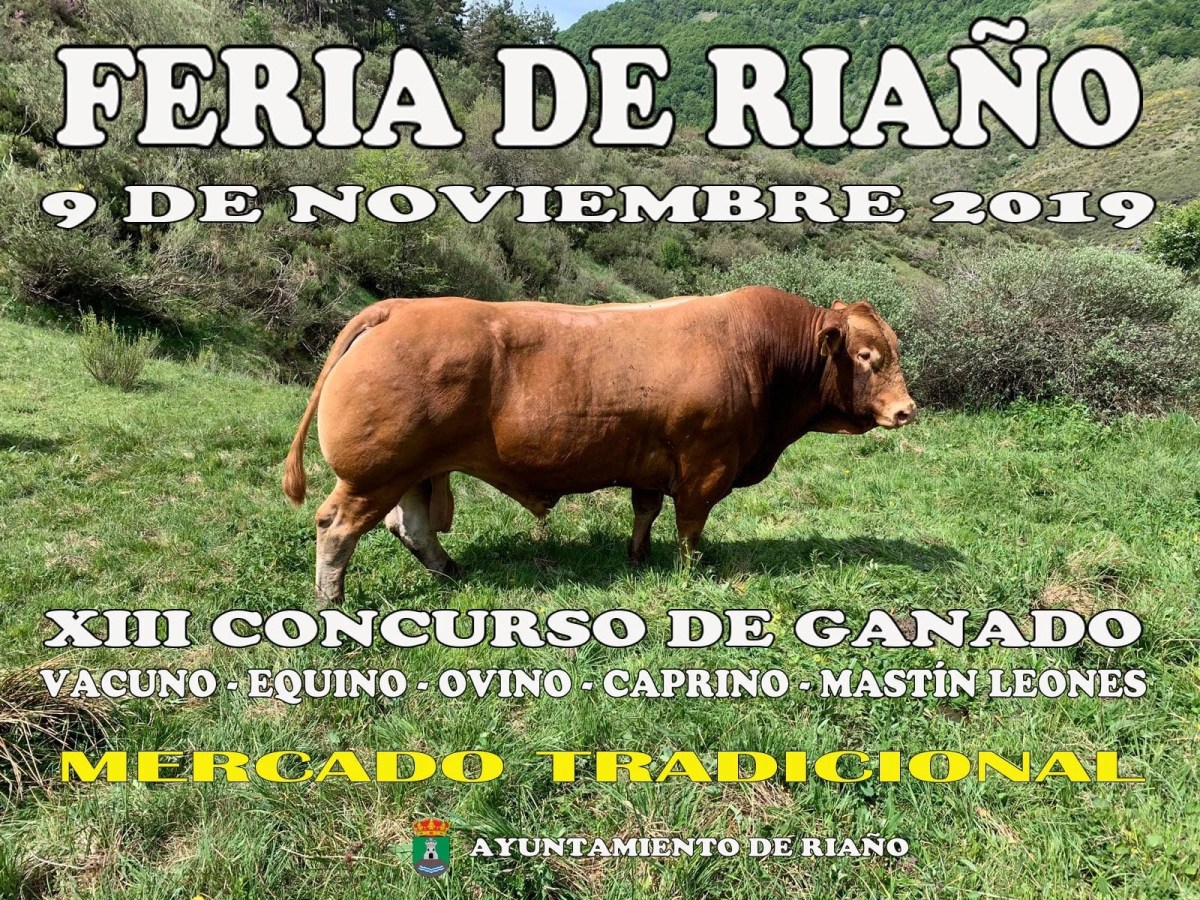 Riaño reunirá el sábado a miles de personas en la feria ganadera de