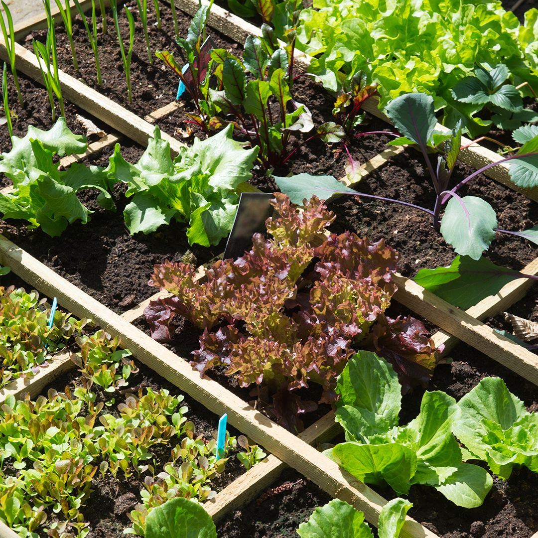 Perlite Applications and Uses · Dicalite Management Group