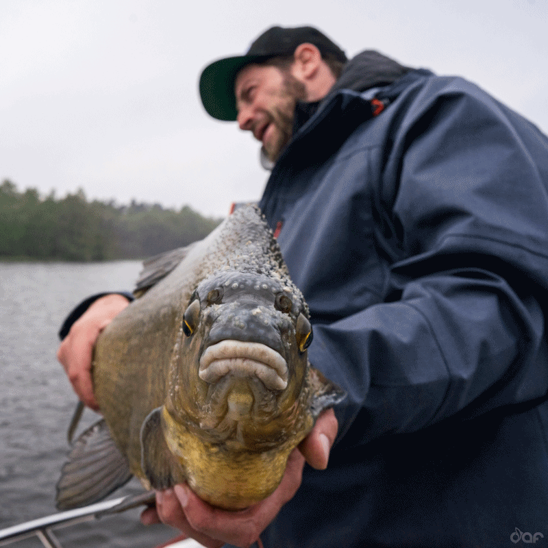 My favourite fishing spot cook a fish maybe at Skyrim