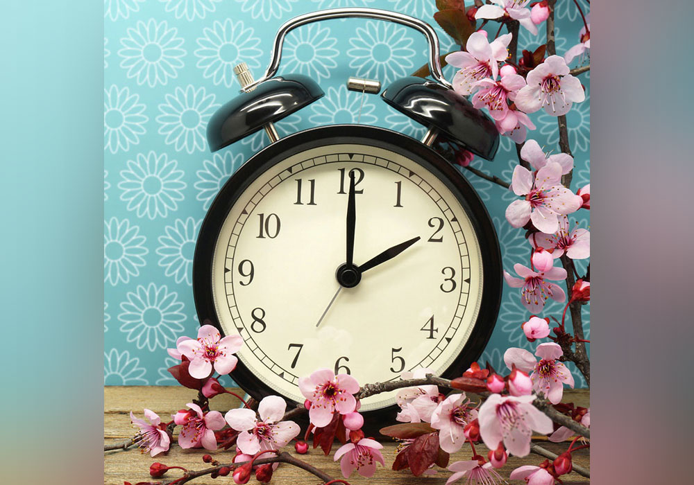 "Spring Forward, Fall Back" And Other Popular Mnemonics Everything