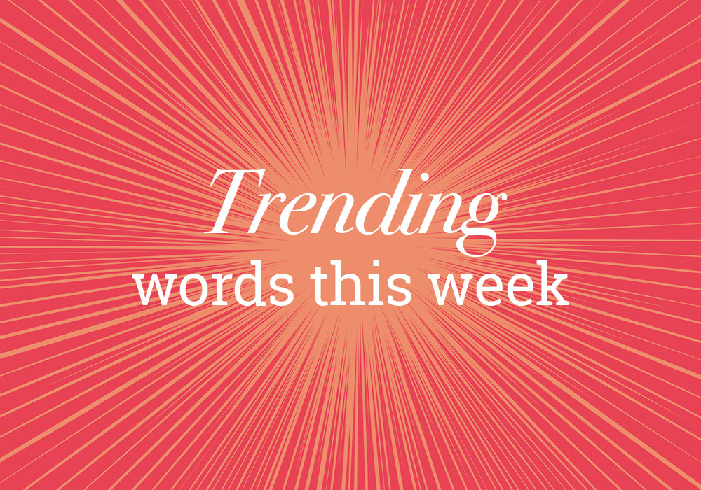 Misnomer And Other Trending Words On Everything After Z by