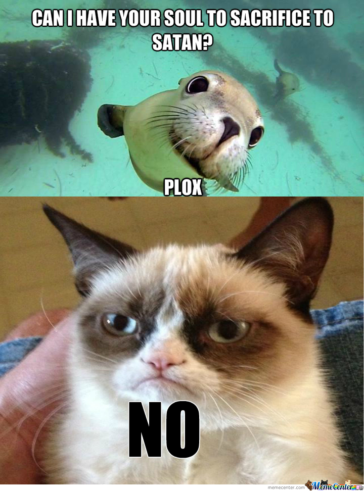 plox Meaning & Origin Slang by