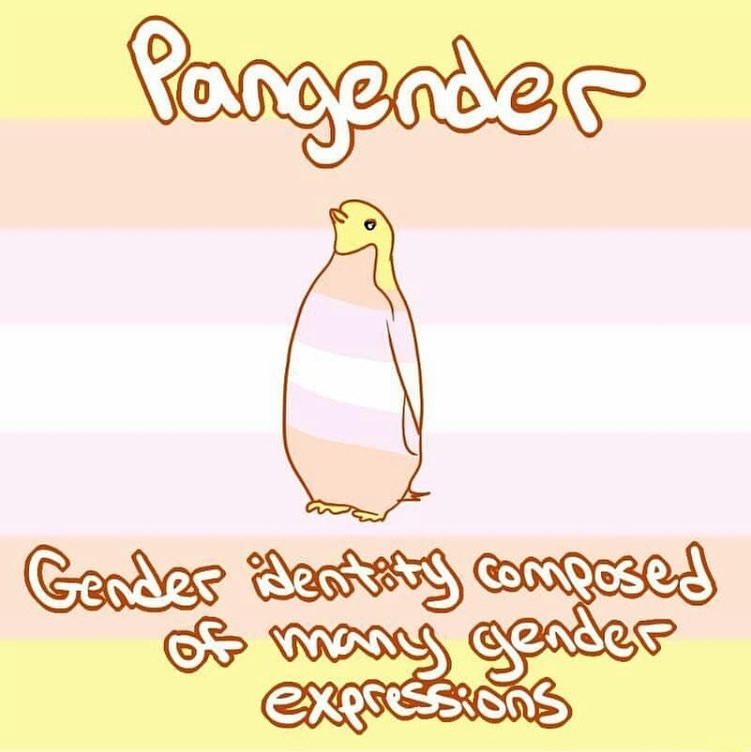 What Does pangender Mean? Gender & Sexuality by