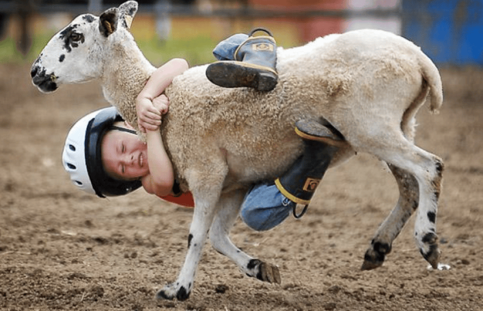 goat rodeo Meaning & Origin Slang by