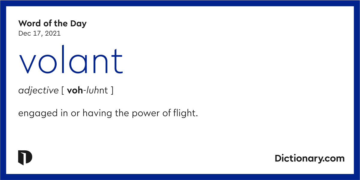 Word Of The Day Xebec, 58 OFF gbupresnenskij.ru