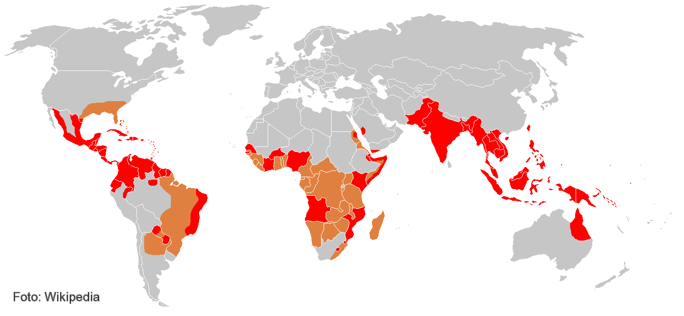 Dengue Fieber Weltkarte Mapamundi con los países afectados por el dengue (en rojo) y las