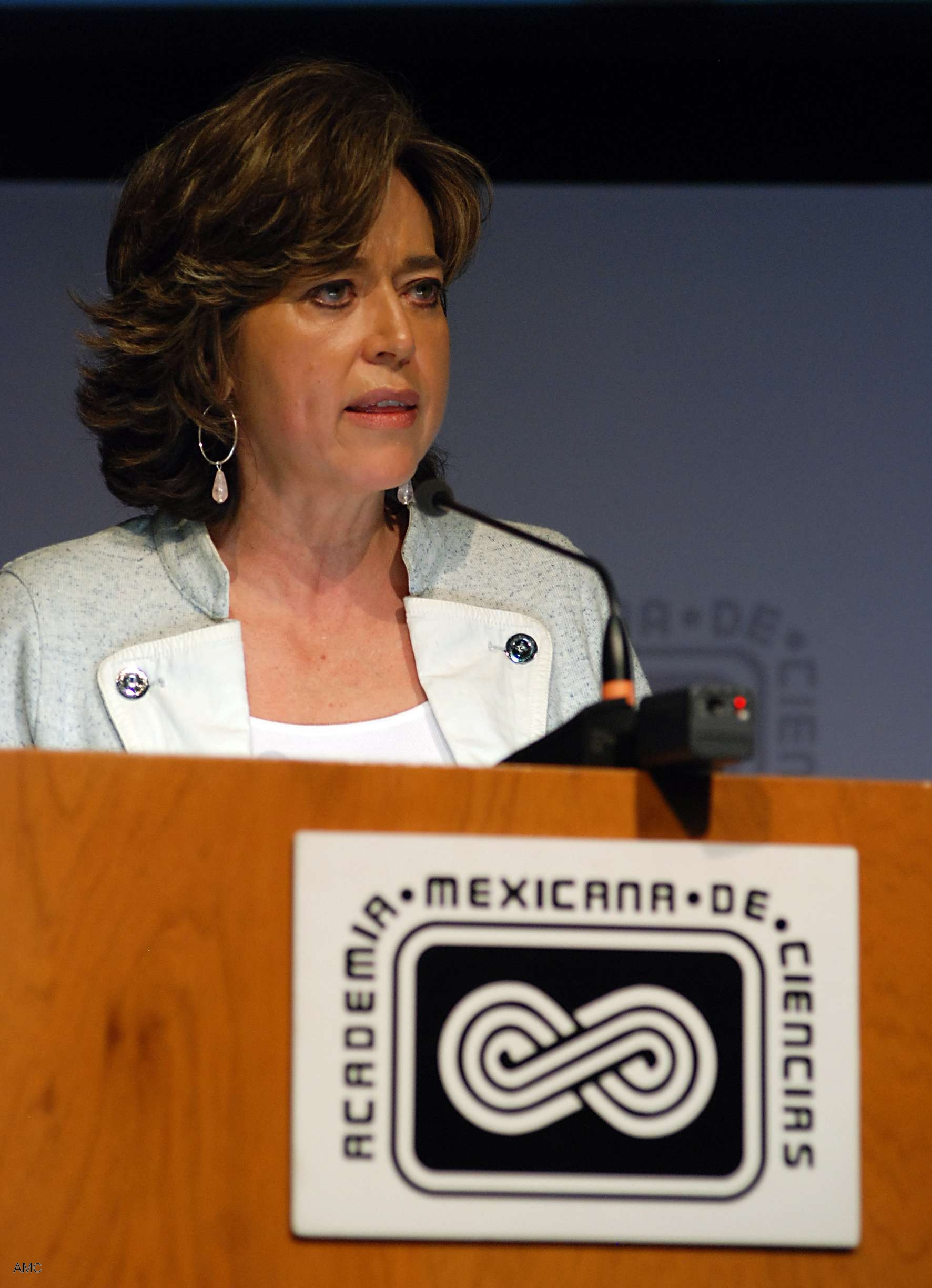 Rosaura Ruiz Gutiérrez, presidenta de la Academia Mexicana de Ciencias