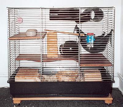 Ratten Info - Gehege - Käfig
