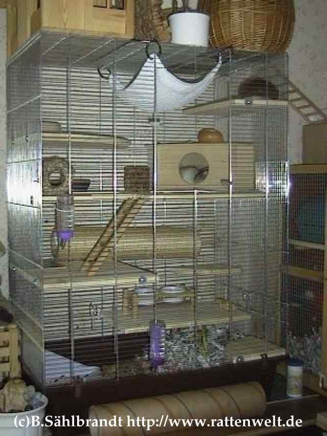 Ratten Info - Gehege - Käfig