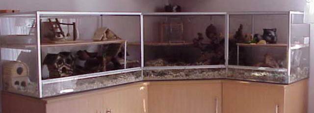 Hamsterkäfig Selber Bauen Aquarium