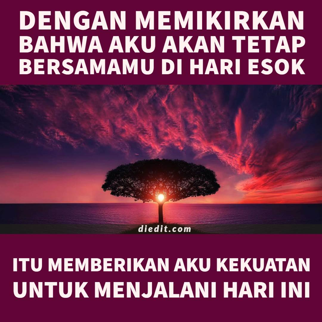 235 Kata Kata Sayang Buat Pacar, Bikin Mesra Romantis