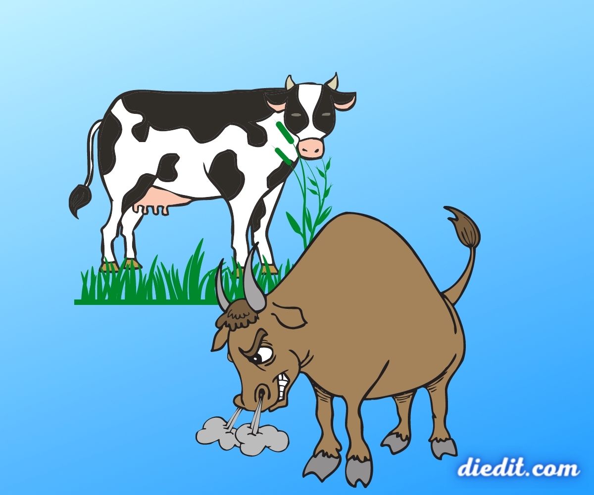 30+ Arti Mimpi Sapi Banteng dan Kerbau