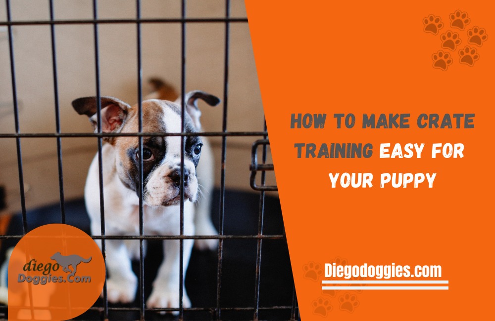 How to Crate Train a Puppy Training Easy for Your Puppy