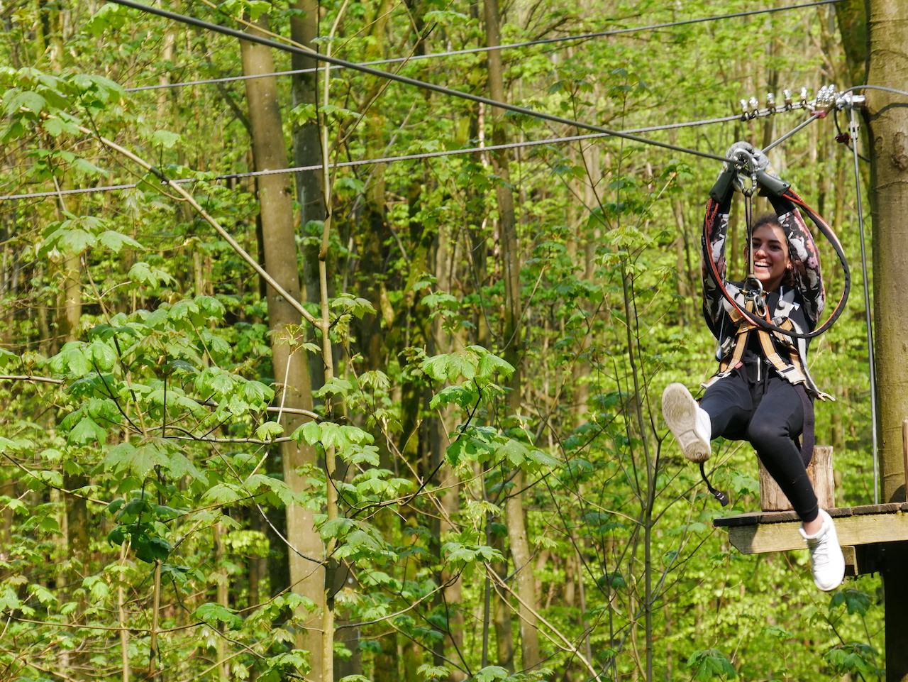 Kletterwald dieHalle Aachen
