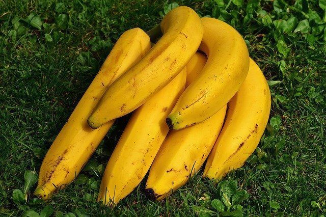 Plátano macho alimidón resistente que te sacia
