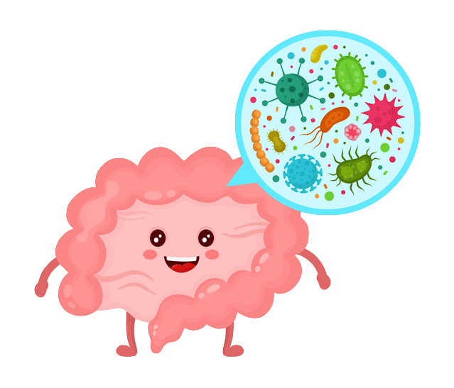 Microscopic Colitis And Diet Beginner’s Guide To Treatment Diet vs