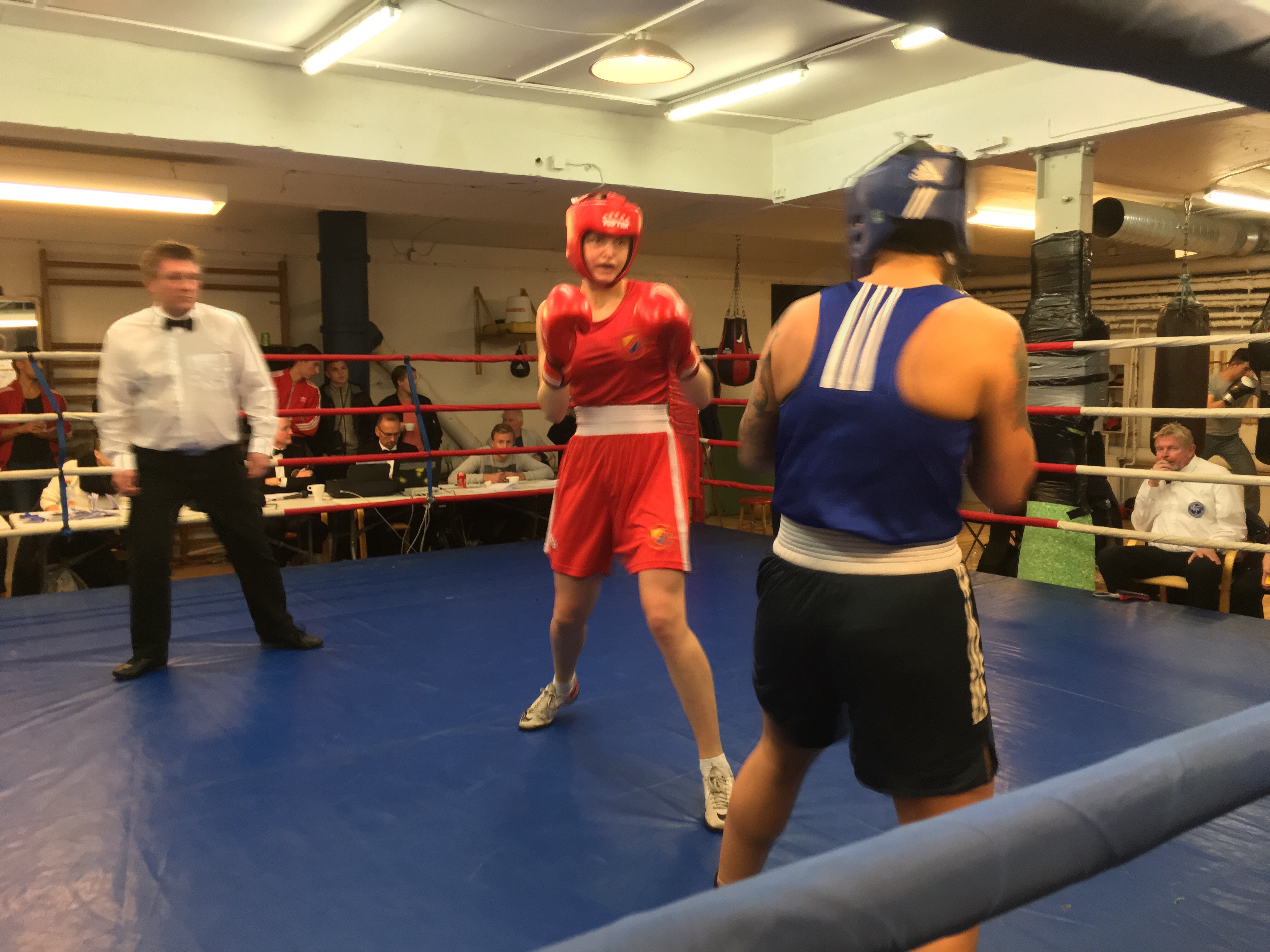 Lyckad tävling hos DIF Boxning! DIF Boxning