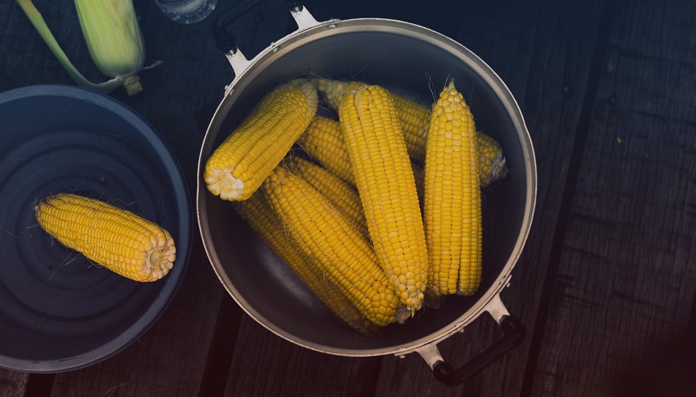 Difference Between Corn and Maize Corn vs Maize