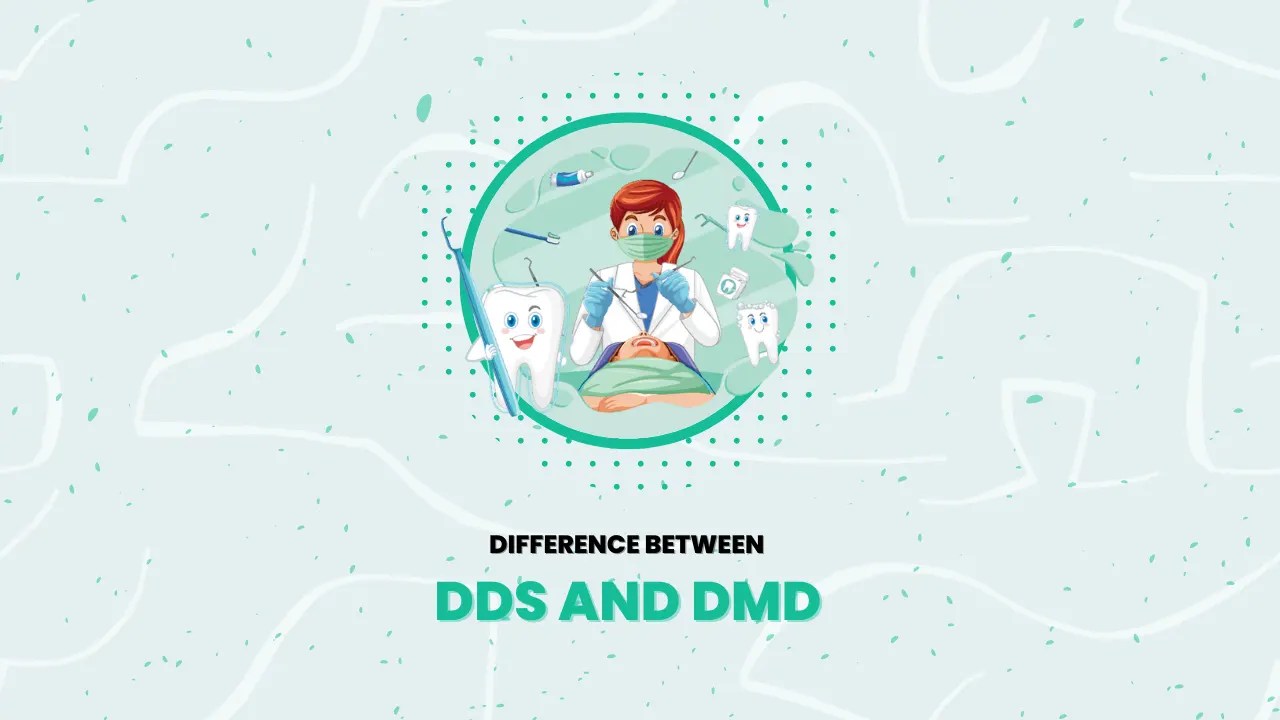 Difference Between DDS And DMD Difference Between