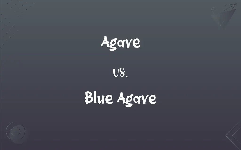 Agave vs. Blue Agave What’s the Difference?