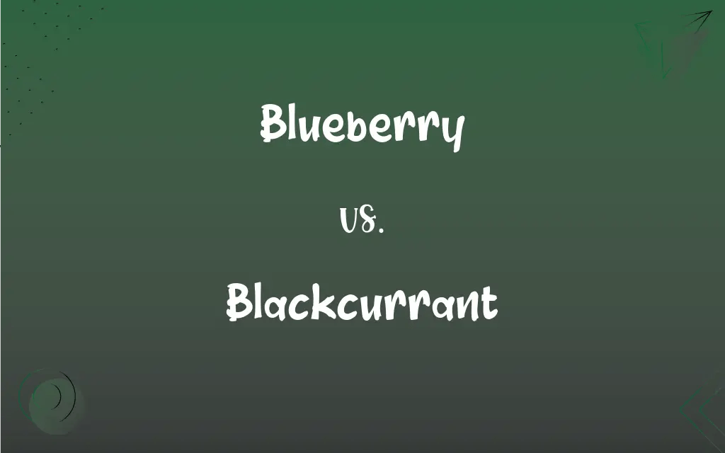 Blueberry vs. Blackcurrant What’s the Difference?