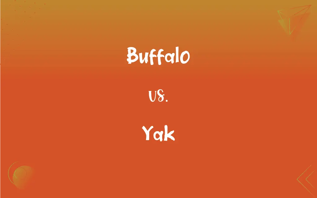 Buffalo vs. Yak What’s the Difference?