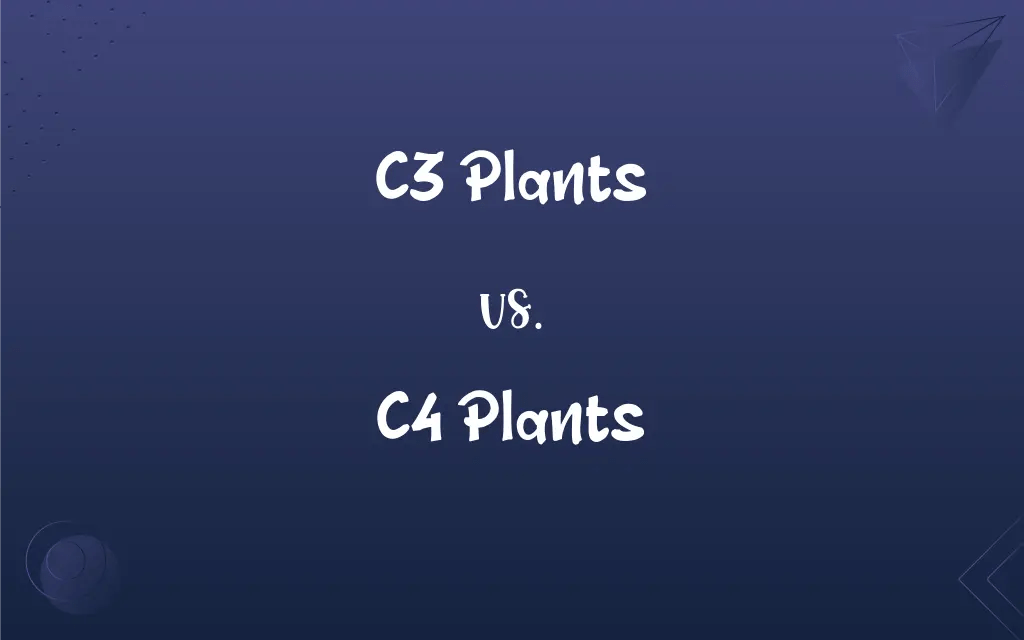 C3 Plants vs. C4 Plants What’s the Difference?