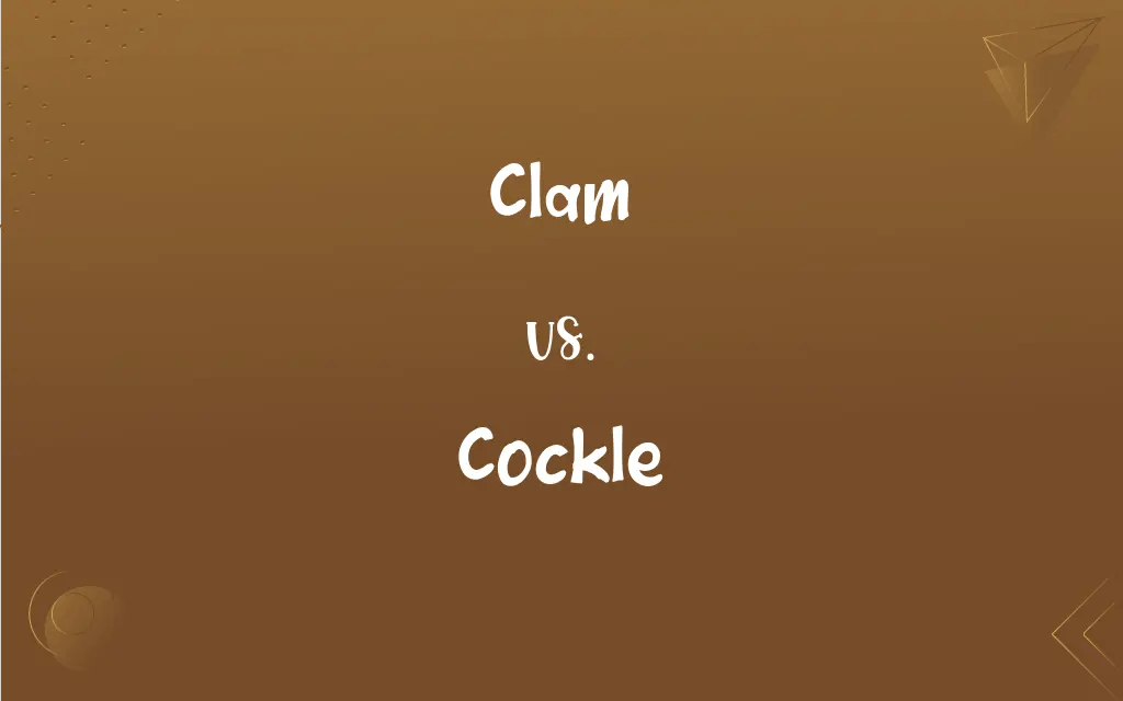 Clam vs. Cockle What’s the Difference?