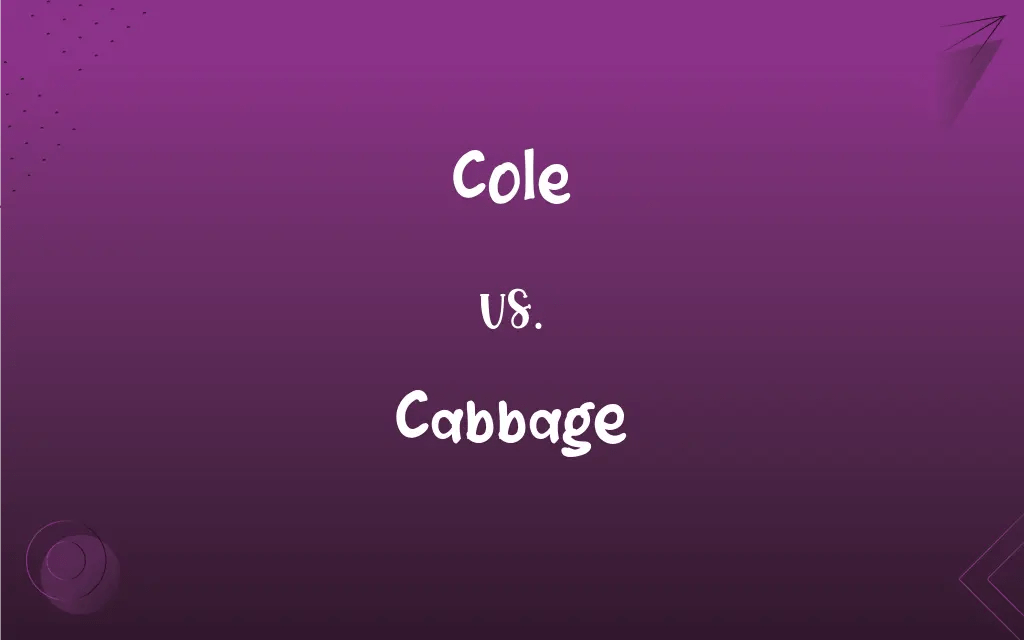 Cole vs. Cabbage What’s the Difference?