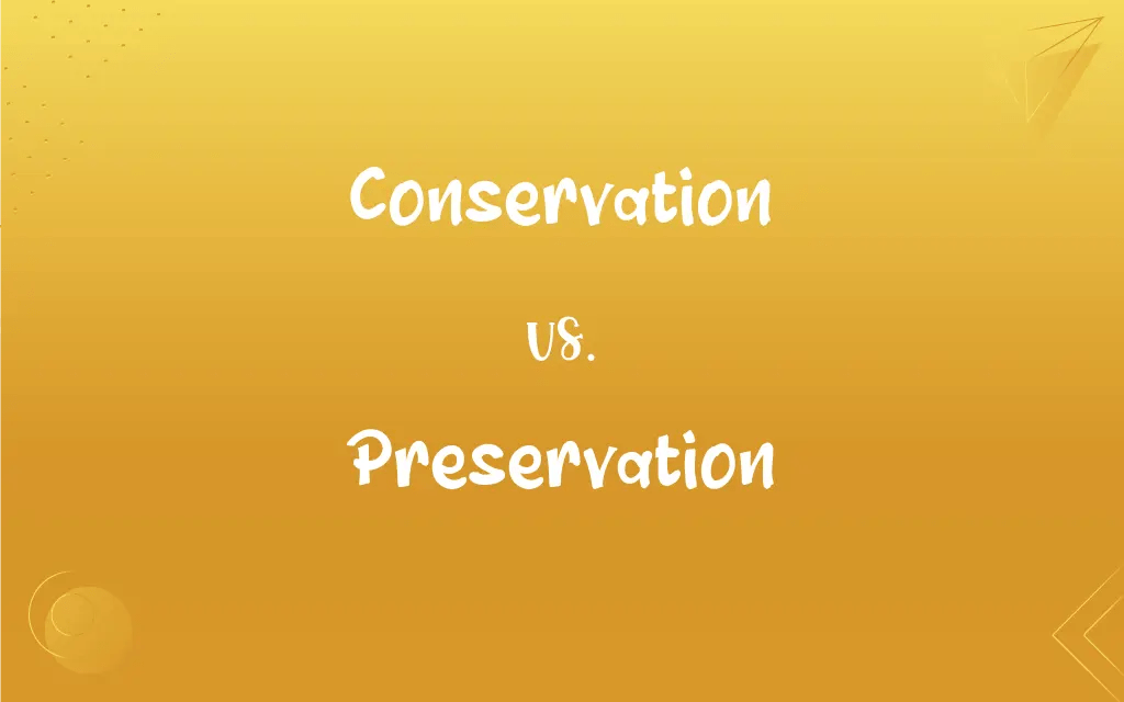 Conservation vs. Preservation: What’s the Difference?