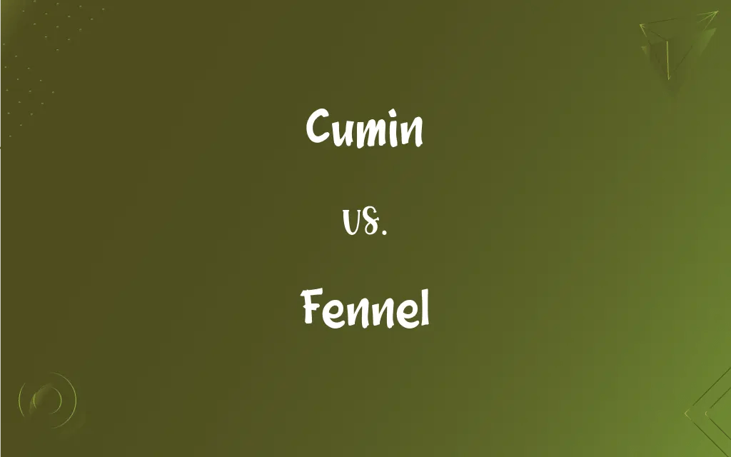 Cumin vs. Fennel What’s the Difference?
