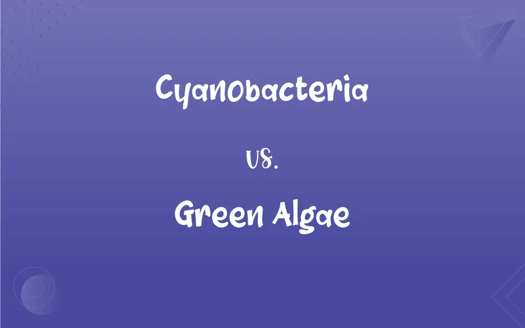 Cyanobacteria vs. Green Algae What’s the Difference?